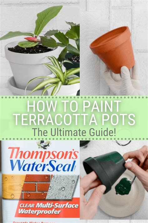 How To Paint Terracotta Pots And The Best Paint For Terracotta Pots
