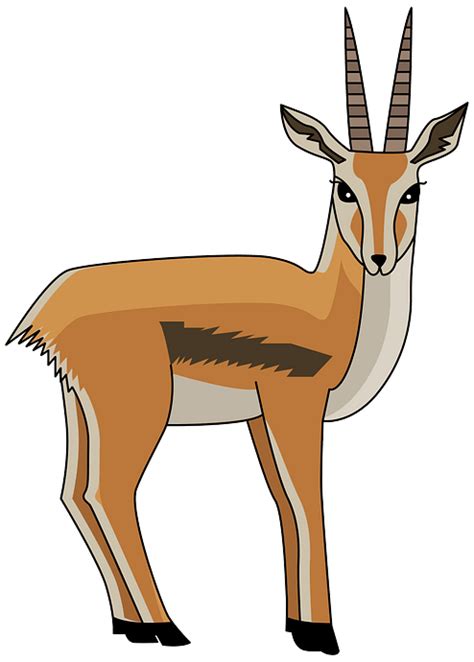 Free Gazelle Cliparts Download Free Gazelle Cliparts Png Images Free