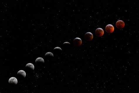 Moon phases for 2021 or any year with full moon and new moon times. Daily Digest - 1/29/ - Despite insurance gains, more ...