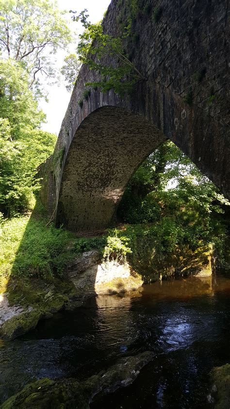 The Happy Pontist Welsh Bridges 12 Dolauhirion Bridge