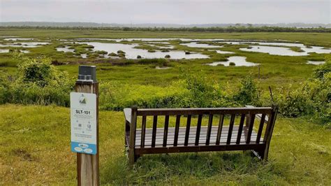 Slt And Friends Of Scarborough Marsh Are Celebrating Water