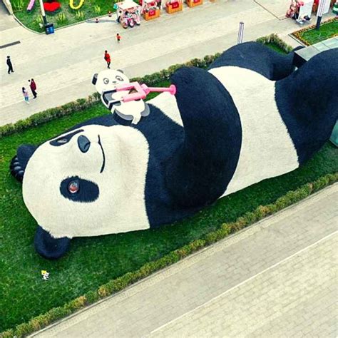 Panda Symbolism The Meaning Of Natures Gentle Giants