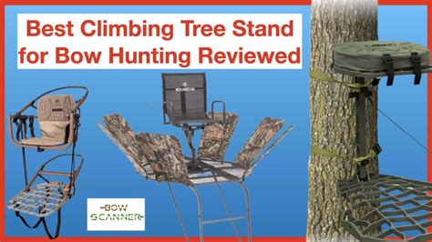 Best Climbing Tree Stand For Bow Hunting In 2021 Bowscanner