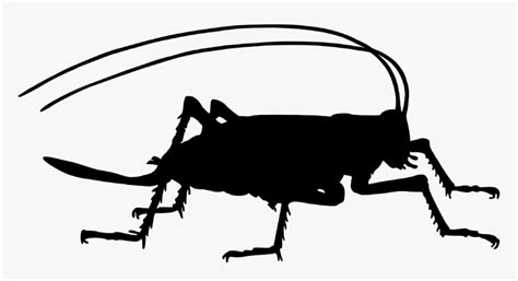 Cricket Silhouette Cricket Bug Silhouette Png Transparent Png