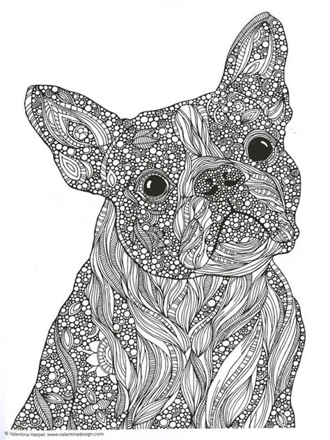 Animals Coloring Pages For Adults Free Printable Animals Coloring Pages