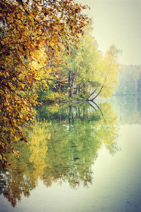 Fall Trees Reflection Stock Photo Image Of Foliage Reflecting 35878592