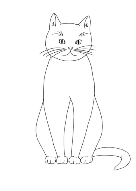 Katze Zeichnen In 8 Schritten Eine Katze Malen Lernen