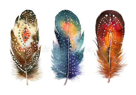 Hand Drawn Watercolor Feather Set Boho Style Stock Illustration