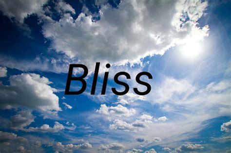Swanofdreamers Word Of The Year Bliss