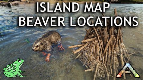 Beaver Dam Locations On The Island Map Ark Survival Evolved