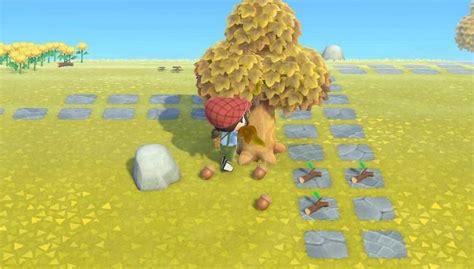 Pine Cones And Acorns In Animal Crossing New Horizons How To Get