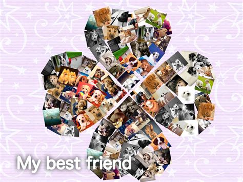 Maybe you would like to learn more about one of these? PicCollage Samples, Make Collage with PicCollage