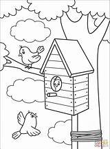 Coloring Bird Birdhouse sketch template