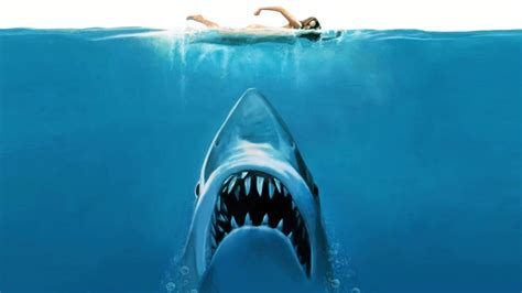 Jaws Debuts In Stunning Imax Classic Movie Review Mxdwn Movies