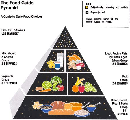Consumer Information Center The Food Guide Pyramid