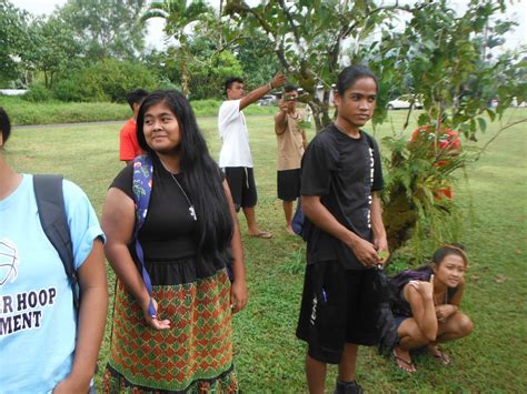 Healing Plants Of Paies Palikir Pohnpei