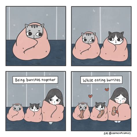 Burrito Comics Cats Cat Comics