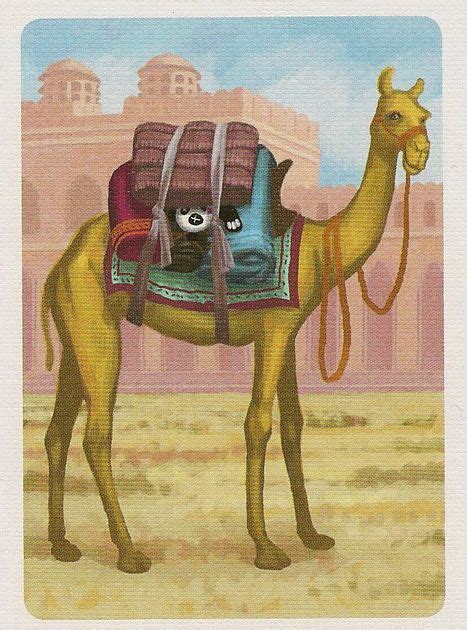 Both players are competing merchants in an indian city jaipur, capital of rajasthan, and striving to be invited to the court of the maharaja. CotD #6 - Camel (Jaipur) | Card of the Day | BoardGameGeek