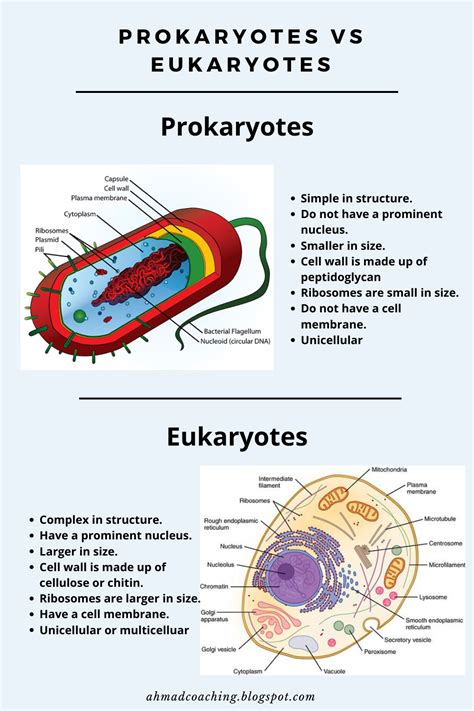 Prokaryotes Vs Eukaryotes Study Biology Biology Classroom Biology