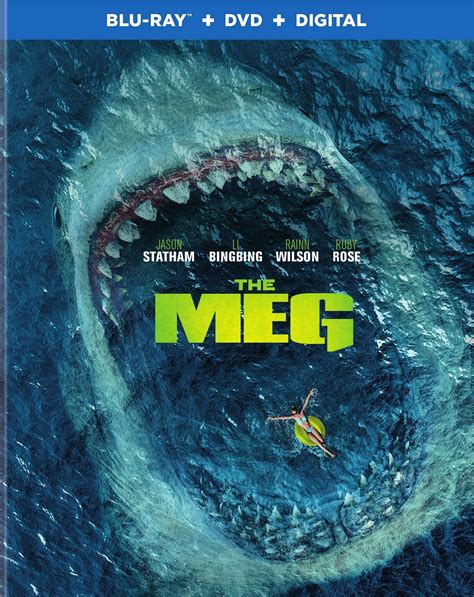 Here is a guide to the voice cast and characters of netflix's the willoughbys. The Meg DVD Release Date November 13, 2018