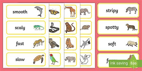 Animal Adjectives Word Cards Adjective Examples Twinkl
