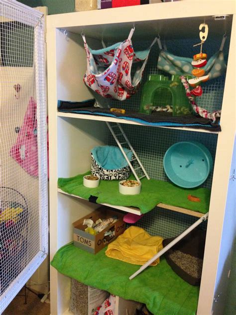 10 Best Images About Pet Rat Cage Ideas On Pinterest Toys Sugar