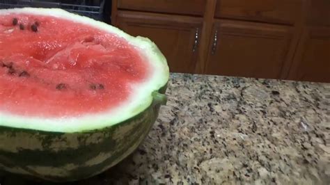 Watermelon Splitting As Soon As Try To Cut Into It Crimson Sweet 14