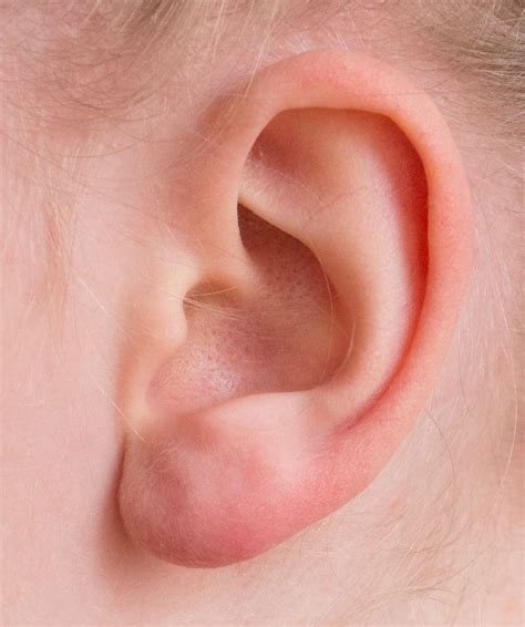 Hd Wallpaper Left Human Ear Auricle Listen Hearing Sensory Organ Perception Wallpaper Flare