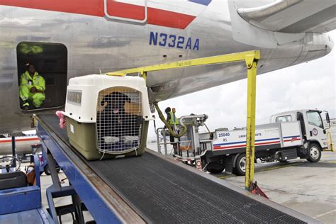 PETS TRANSPORTATION - UPS-UKRAINE