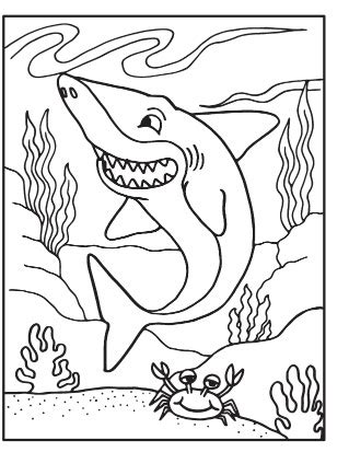 Desenhos de tubarão para colorir e desenhar Desenhos Para Desenhar