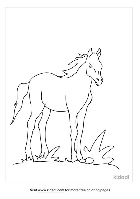 Free Foal Coloring Page Coloring Page Printables Kidadl