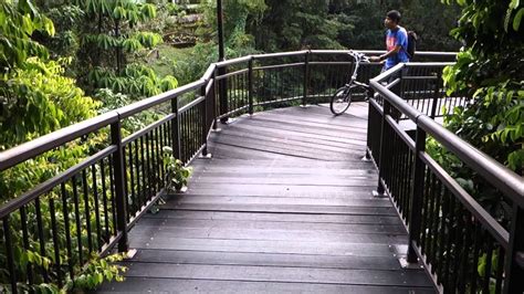 A complete and throughout dahon boardwalk review. Dahon Boardwalk Folding Bike To Singapore - YouTube