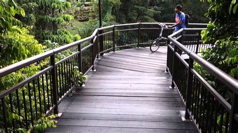 These are already successfully integrated on the global market and are currently being sold on amazon and through dealers across the world. Dahon Boardwalk Folding Bike To Singapore - YouTube
