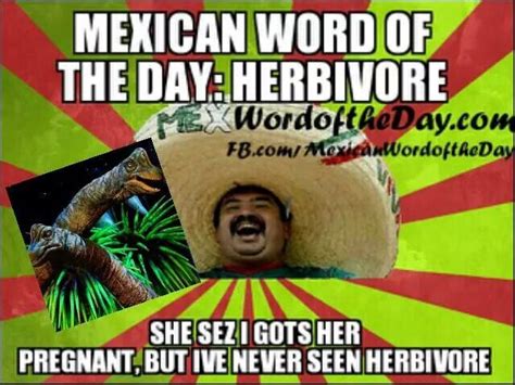 Mexican Word Of The Day Mexican Words Funny Mexican Quotes Words
