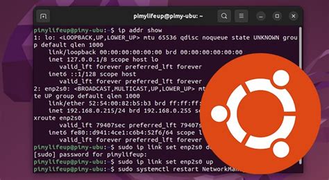 How To Restart The Network On Ubuntu Pi My Life Up