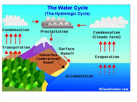 6th Grade Water Cycle Diagram Easy Sigila Mencurah Pedih