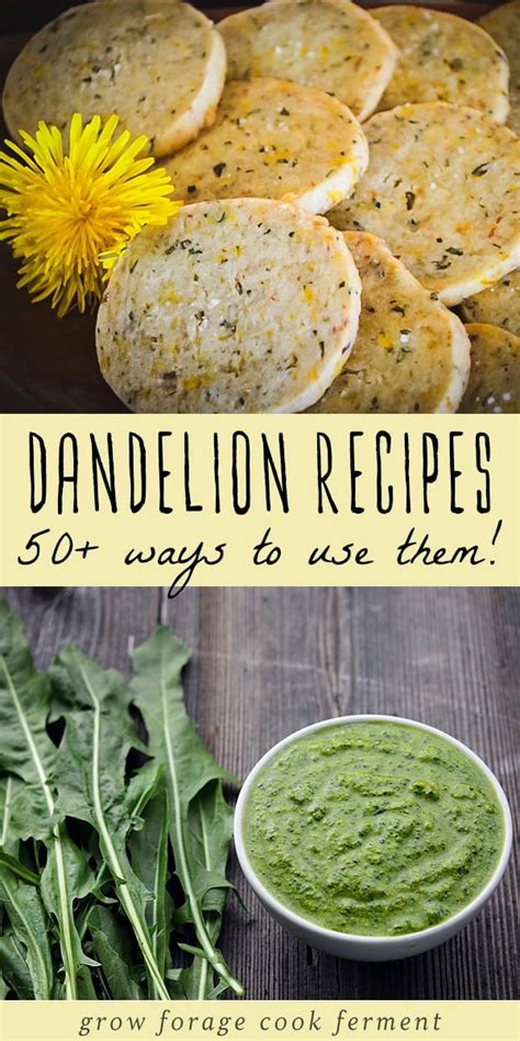 50 Dandelion Recipes Drinks Sweets Soap Remedies More