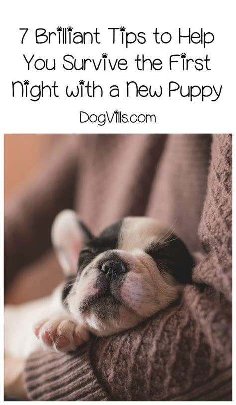 With practice both you and your puppy can have nice. How to Survive the First Night with a New Puppy -DogVills