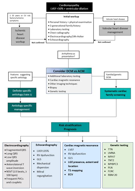 Diagnosis And Risk Stratification Of Dilated Cardiomyopathy