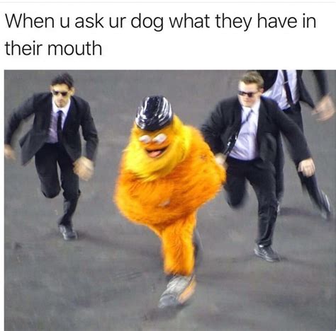 Create the best meme sounds and soundboards using blerp. When you ask your dog what they have in their mouth - Meme ...