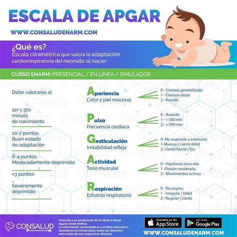 Escala Apgar Tono Muscular Pediatría Flexiones