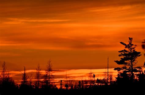 Pine Sunset Ben L Photography Flickr