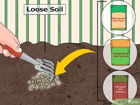 Passiamo a vedere quindi alcuni metodi che ci mostrano come produrre terra acida per le nostre piante preferite, provando ad utilizzare sistemi il più possibile naturali che sono come sempre i migliori per ottenere risultati soddisfacenti nell'agricoltura in genere. Come Rendere Acido il Terreno: 14 Passaggi