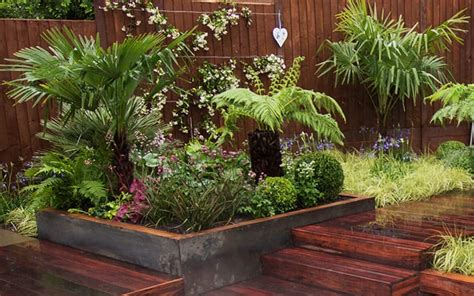 The 10 Best Plants To Get A Tropical Garden Style In Britain