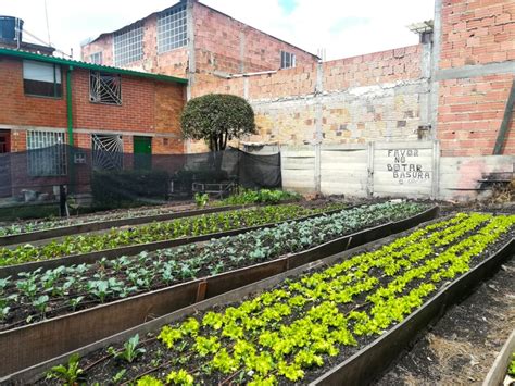 Maybe you would like to learn more about one of these? Huertas urbanas en Madrid, Cundinamarca: integrando el ...