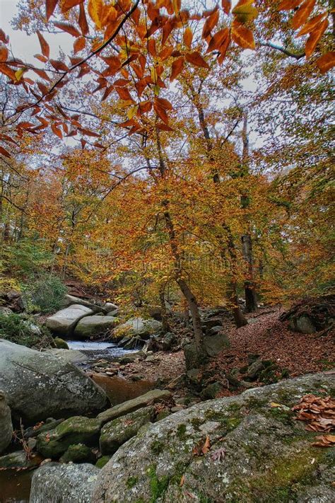 Autumn Mountain Stream Landscape View Blue Ridge Mountains In Fall