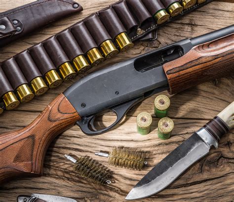 The Best Pump Action Shotguns You Should Consider The Clay Bird