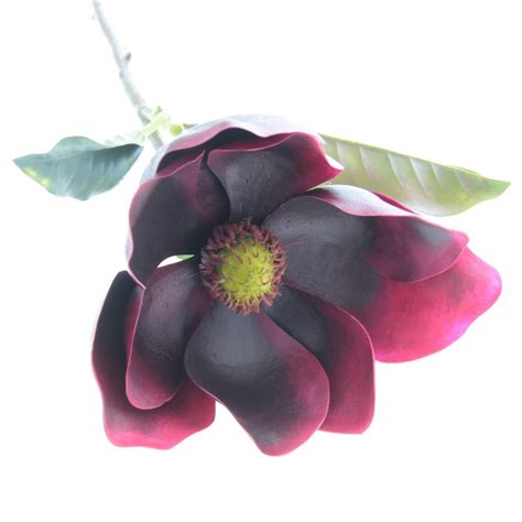 Floral home decormagnolia silk flower arrangements silk magnolia floral arrangements that will love at overstock your home table decor products sale prices free shipping yiliyajia artificial flowers and hydrangea artificial flowers and romantic as the vase floral arrangements. Artificial Magnolia - Burgundy