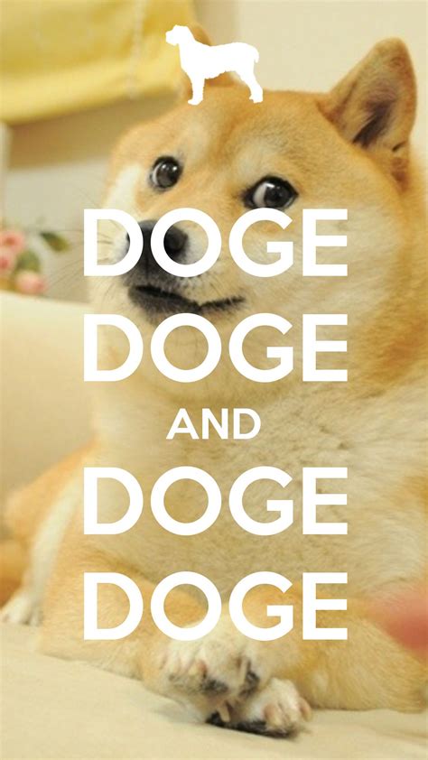 76 Doge Meme Wallpapers On Wallpaperplay Doge Fondos De Pantalla Lol