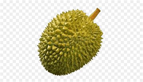 Durian Cartoon Clipart 10 Free Cliparts Download Images On Clipground